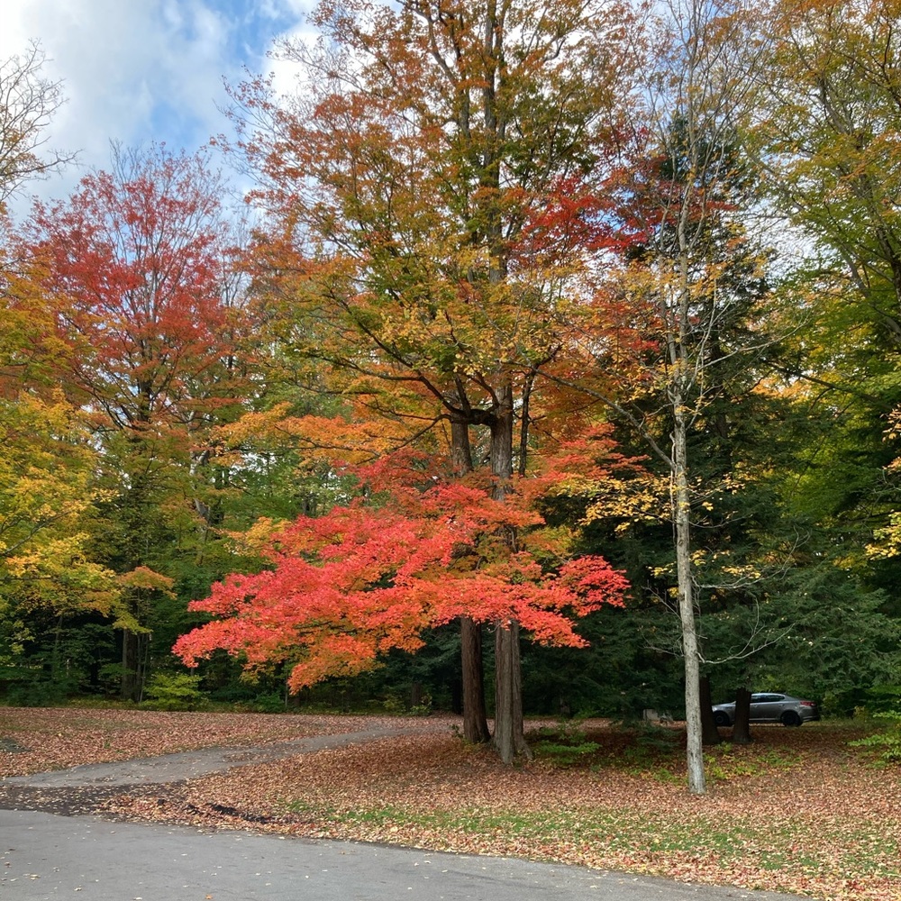 Meet your Posher, Arlene